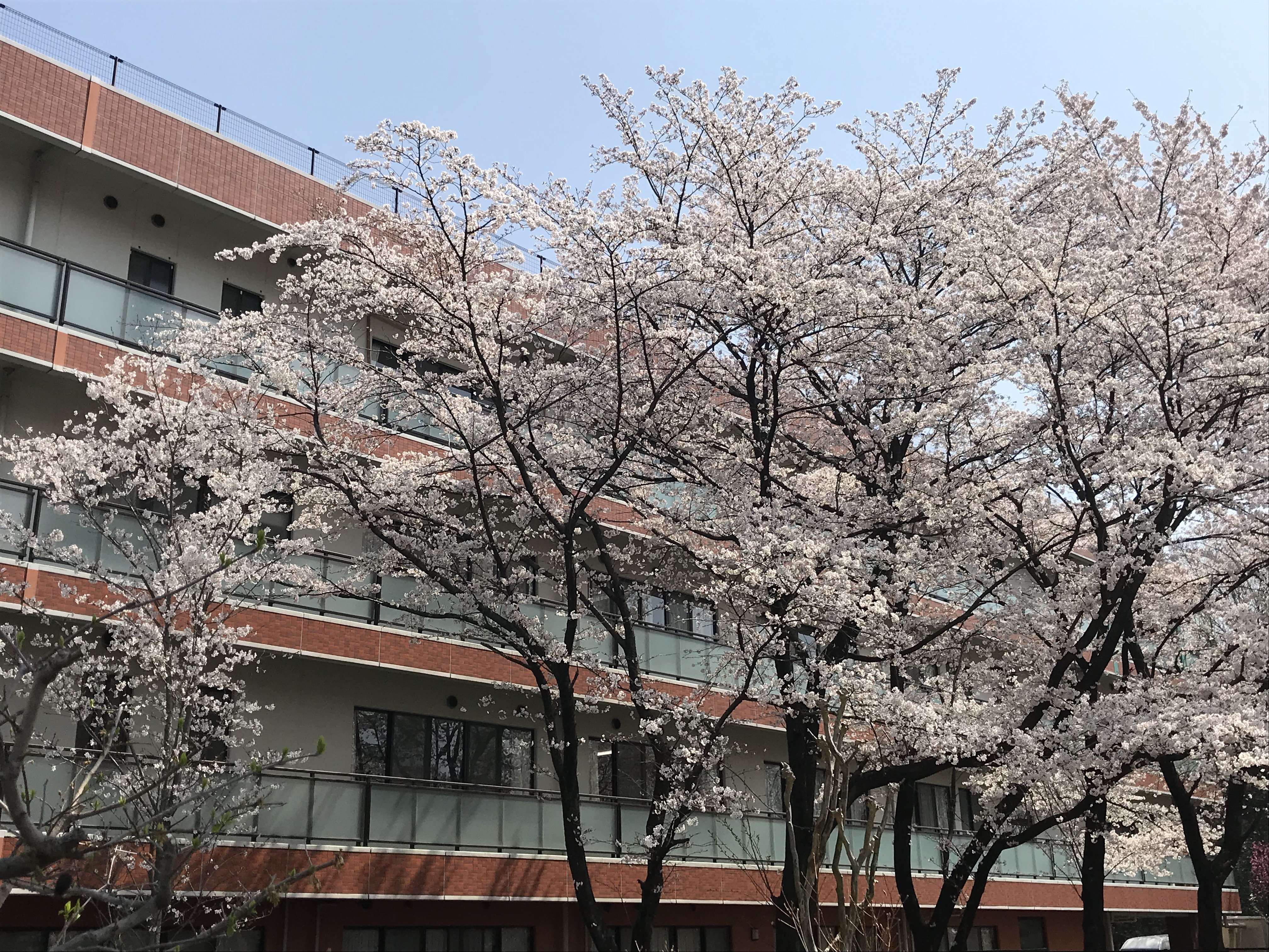 AABC8A4A-B5EA-433C-A97F-0A0665E87E20.jpeg