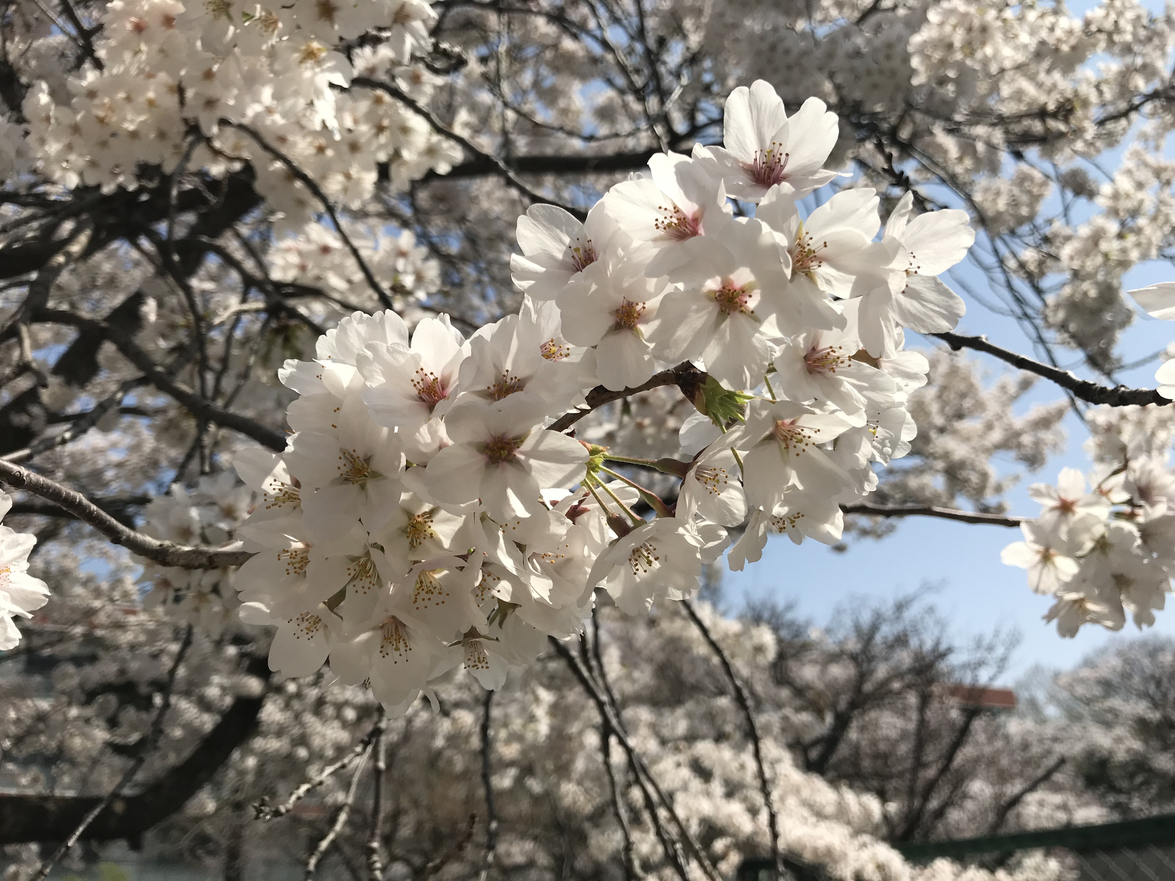 EF87195D-36C2-43E8-95DB-37DCD4F381FE.jpeg